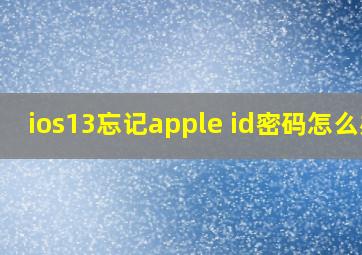 ios13忘记apple id密码怎么办